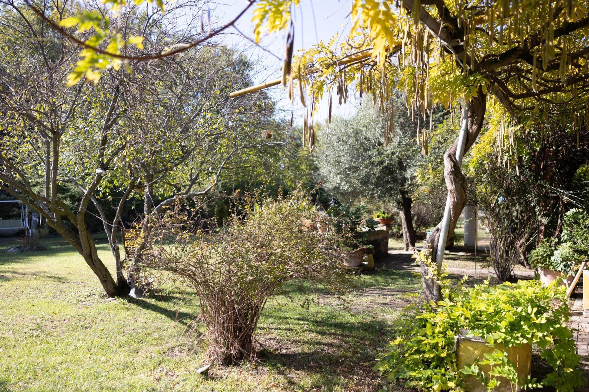 Locanda Acetaia Malagoli Daniele Castelfranco Emilia Bagian luar foto