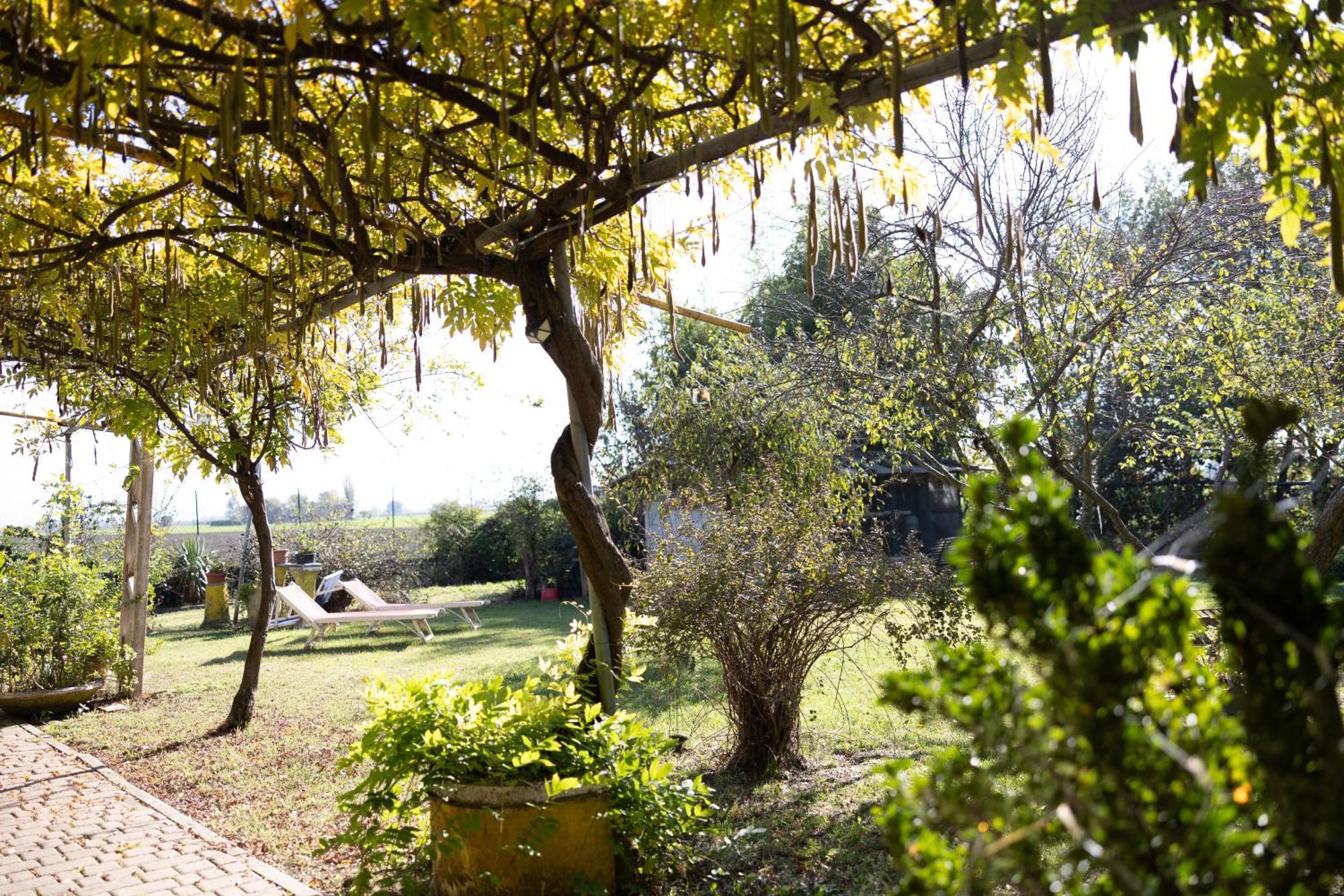 Locanda Acetaia Malagoli Daniele Castelfranco Emilia Bagian luar foto